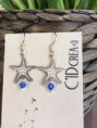 /album/les-boucles-doreilles/img-2088-1-jpg/